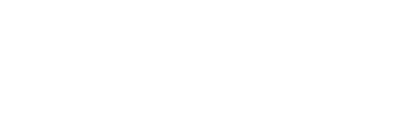 Custodi IO